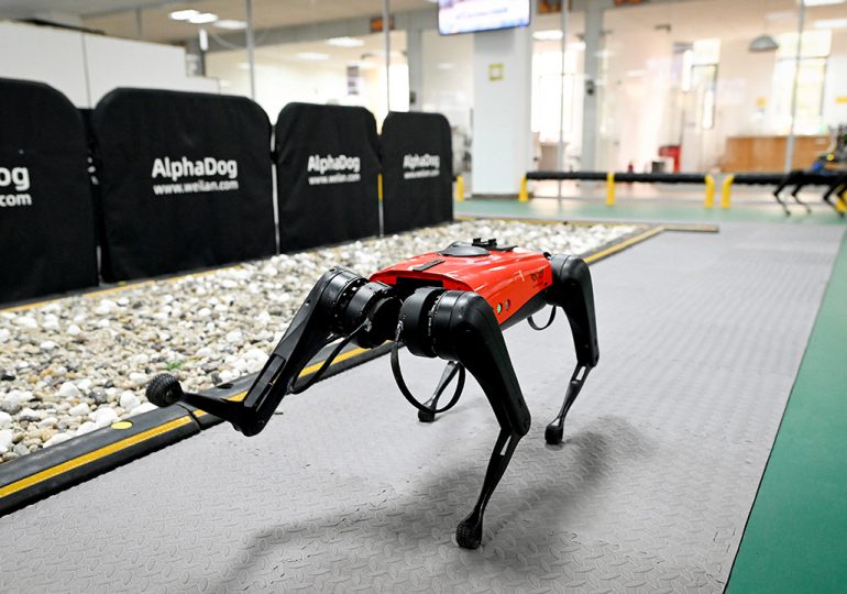 Los perros-robot, el último grito tecnológico en China
