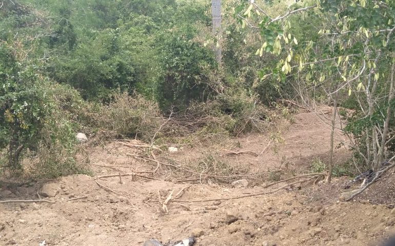 FUNDETROP y SOEPU denuncian que Ministerio de Ambiente abandona Parque Los Humedales de Laguna Prieta en Santiago