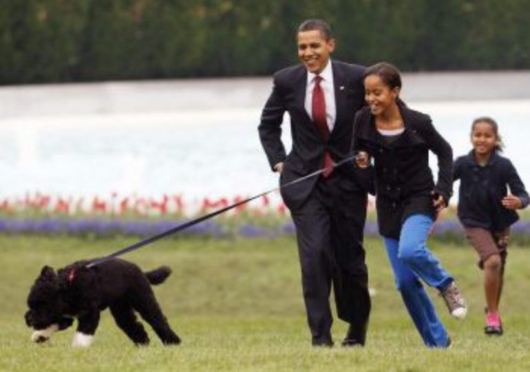 Muere Bo, el perro de la familia Obama de un cáncer