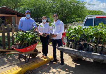 VIDEO | Albadom reforesta y entrega cientos de plantas de café