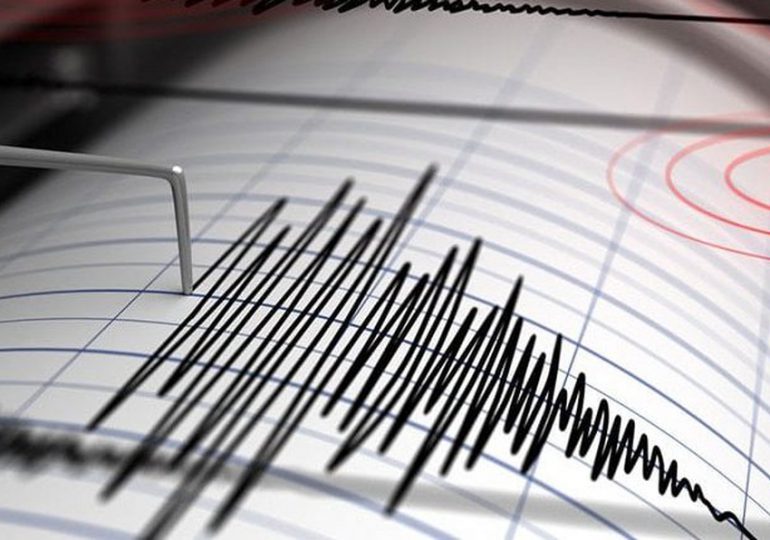 Se registra fuerte temblor de tierra en el territorio nacional
