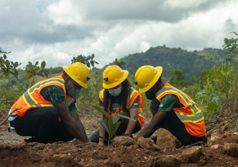 GB Energy Texaco realiza jornada de reforestación en Cerro Maimón