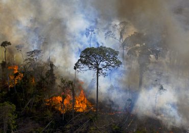Deforestación en Amazonía brasileña alcanza récord al avanzar 41% en mayo