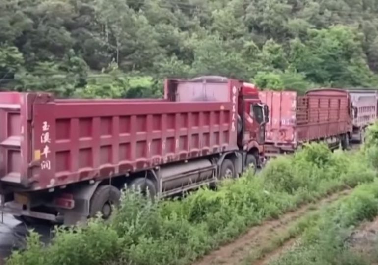 Largas filas de camiones intentan bloquear paso de elefantes en China