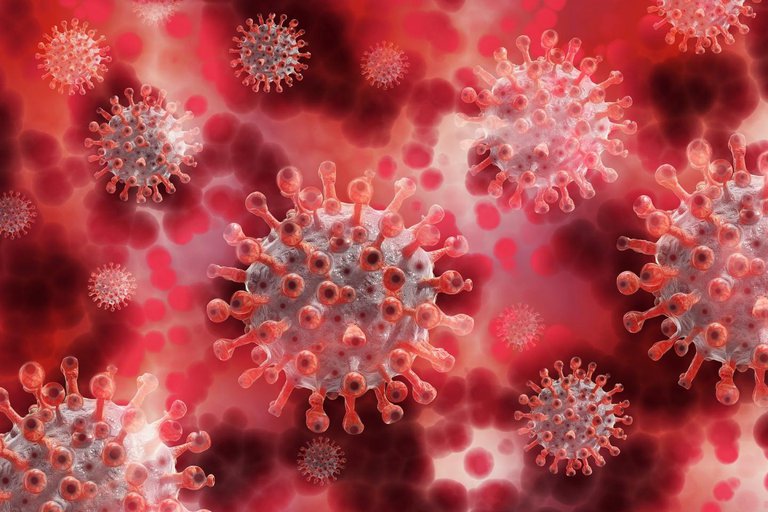 Advierten que variante del coronavirus Lambda, detectada en Sudamérica, podría ser de “preocupación” mundial