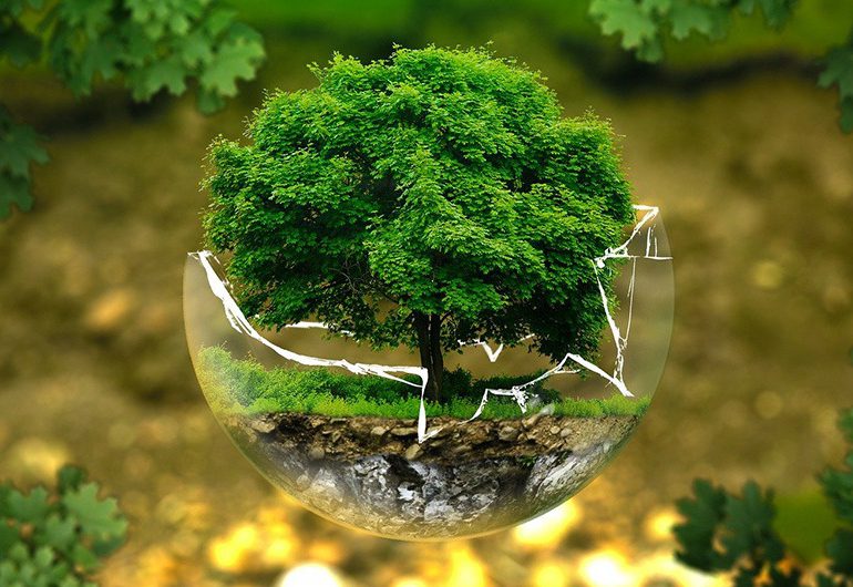 Hoy se conmemora el Día Mundial del Medio Ambiente