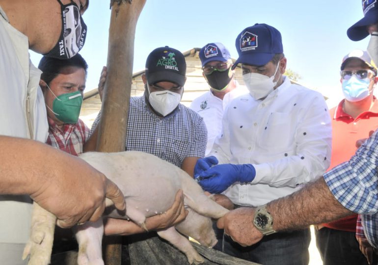Autoridades determinaron que muertes de más de 60 cerdos en Montecristi se trata de neumonía