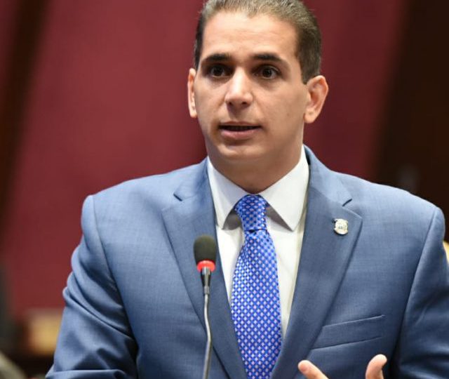 Diputado Víctor Fadul solicita al Estado priorizar estabilidad de las familias dominicanas