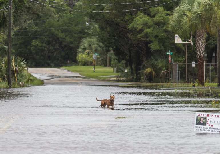 La tormenta tropical Elsa toca tierra en Florida