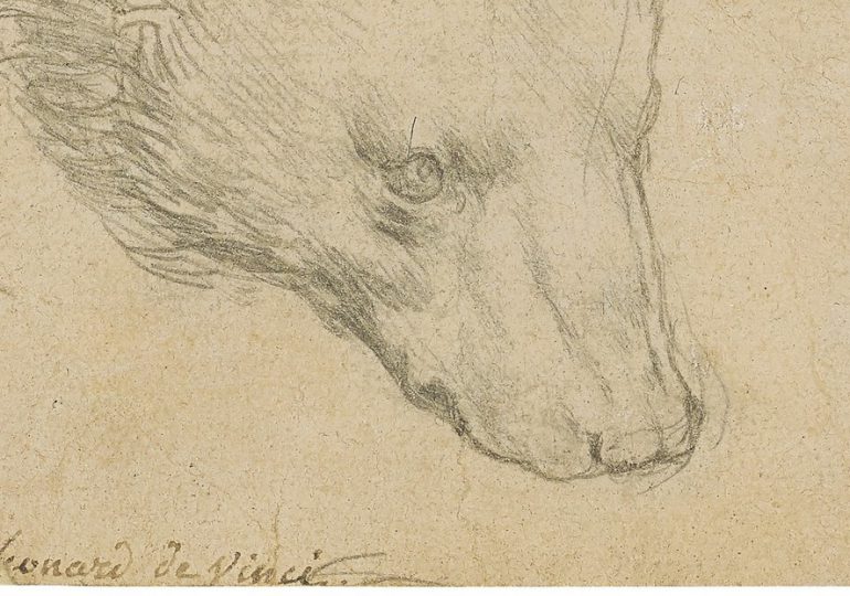 El dibujo 'Cabeza de oso' de Leonardo da Vinci logra un precio récord en una subasta