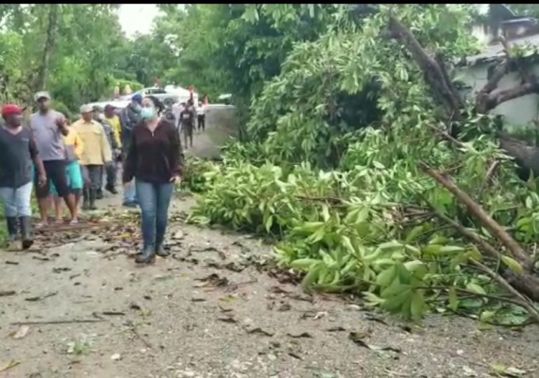 Paso de tormenta tropical Elsa deja tres carreteras afectas y 118 personas movilizadas