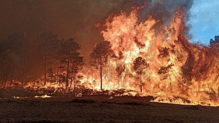 Catástrofe ecológica en España: los incendios arrasan miles de hectáreas en Cataluña durante el fin de semana