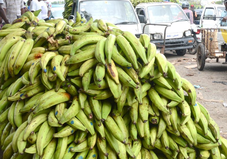 Ministerio de Agricultura promueve precios de plátanos tras el caso de Jean Alain