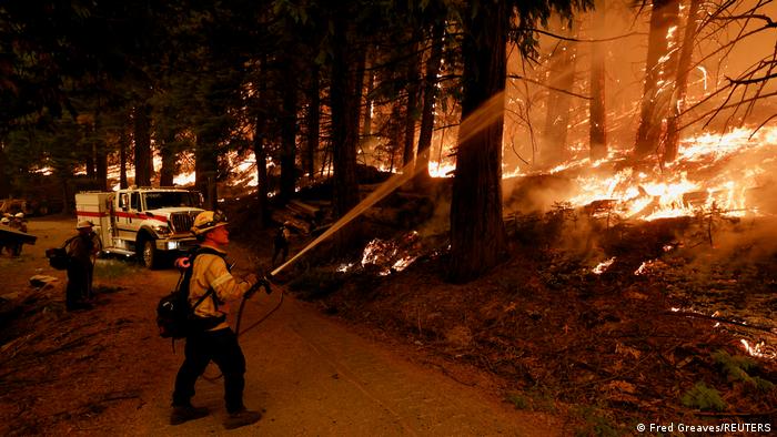 Incendio forestal obliga a evacuar destino turístico de EEUU