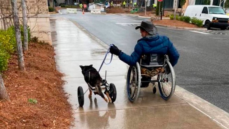 La conmovedora historia de un perro en silla de ruedas y su dueño, también con discapacidad
