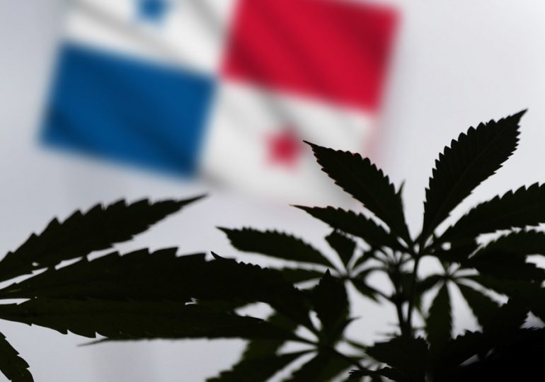 Panamá aprueba el uso medicinal del cannabis