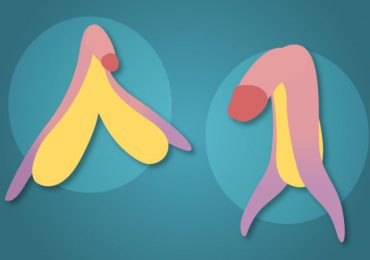Salud sexual: cómo es realmente el clítoris (y las asombrosas similitudes que tiene con el pene)