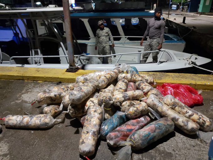 Autoridades incautan más de media tonelada de peces loros y lambies en Samaná durante operativo