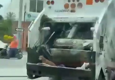 Denuncian camión recolector de basura del ayuntamiento de Baní maltrata perros