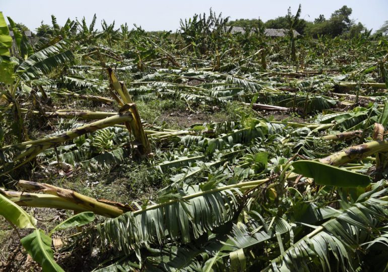 Gobierno acude en auxilio de agricultores plataneros afectados por tornado