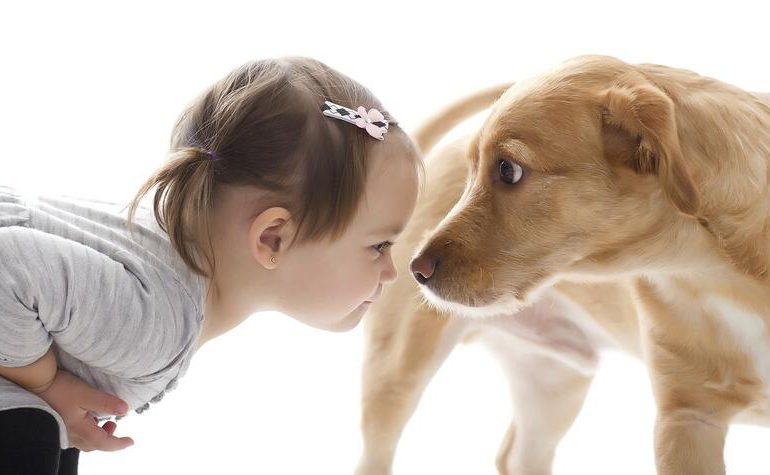 Por qué los cachorros tienen miedo y cómo ayudarlos