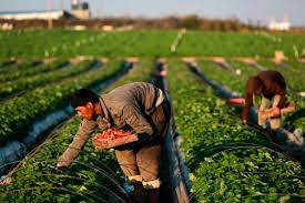 9 de septiembre, Día Mundial de la Agricultura