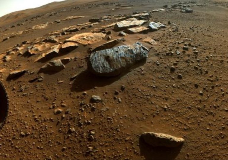 Muestras de roca recogidas en Marte por Perseverance, probablemente de origen volcánico