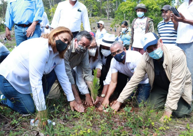 Medio Ambiente inicia Mes de la Reforestación con meta de plantar 3.5 millones de árboles