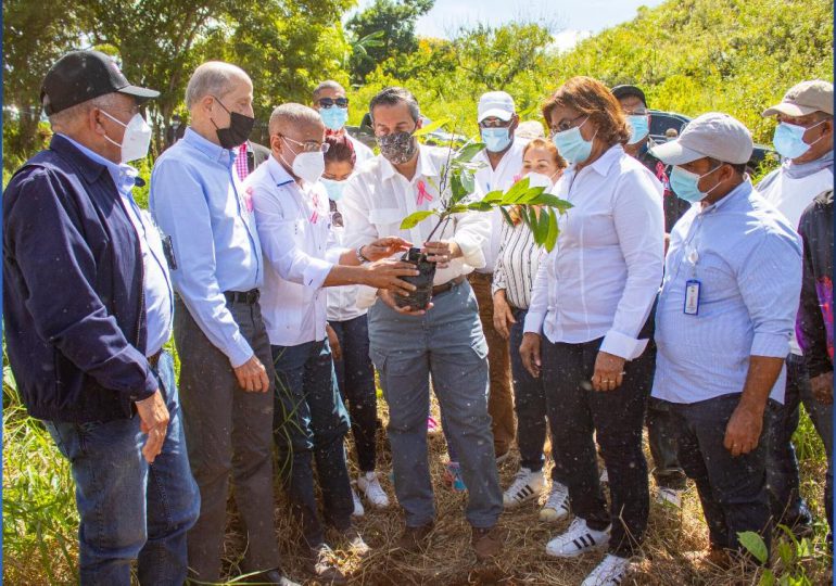 UTEPDA y Medio Ambiente realizan jornada de reforestación en Pedernales