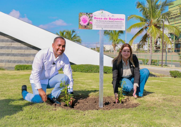 Departamento Aeroportuario y Fondo MARENA promueven la Flor Nacional en aeropuertos del país