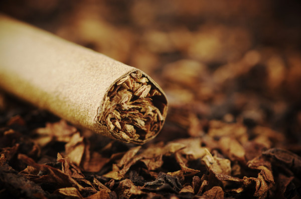Expertos llaman a la OMS a modernizar su enfoque sobre las políticas de tabaco