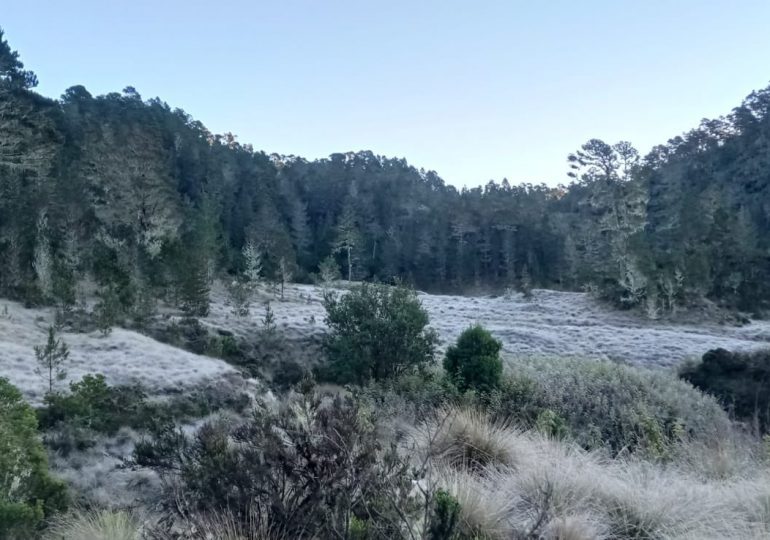 Parque Nacional Valle Nuevo registra temperaturas de -3 Celsius
