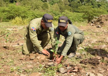 Personal de MIDE siembra millar de plantas en Cuenca Río Yuna