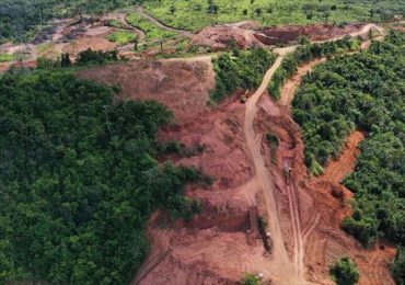Brasil registra deforestación récord en la Amazonía en últimos 15 años