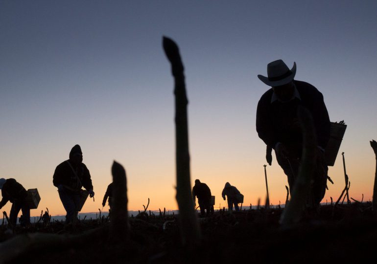 18 de diciembre; Día Internacional del Migrante