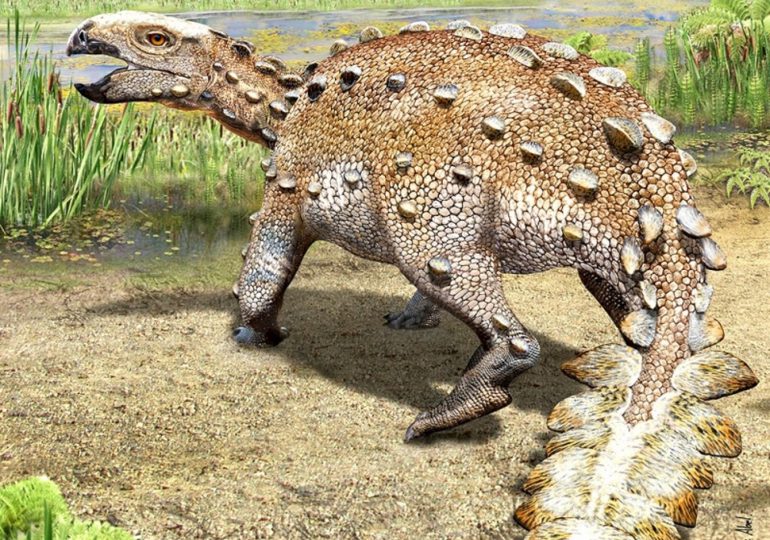 El "Stegouros", el dinosaurio descubierto en Chile con una cola que desconcierta a científicos