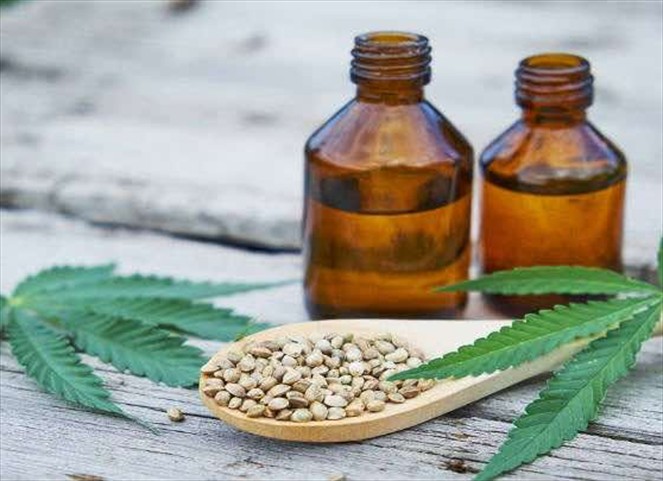 Cannabis medicinal, una polémica alternativa que aguarda legalización en Costa Rica