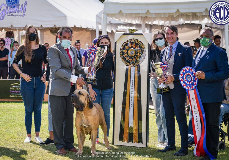 Realizan con éxito la exposición canina internacional más grande del país