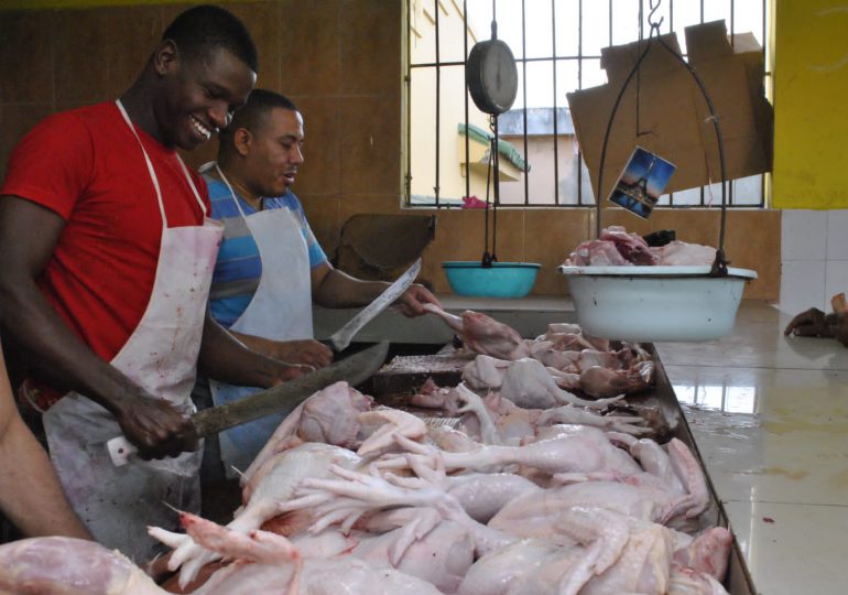 Autoridades agropecuarias garantizan abundancia de pollo en Navidad y Año Nuevo