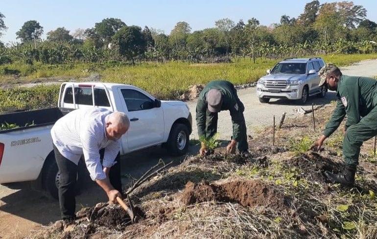 Vídeo| Jaime David Fernández siembra plantas de ginas y jacaranda en plena víspera navideña