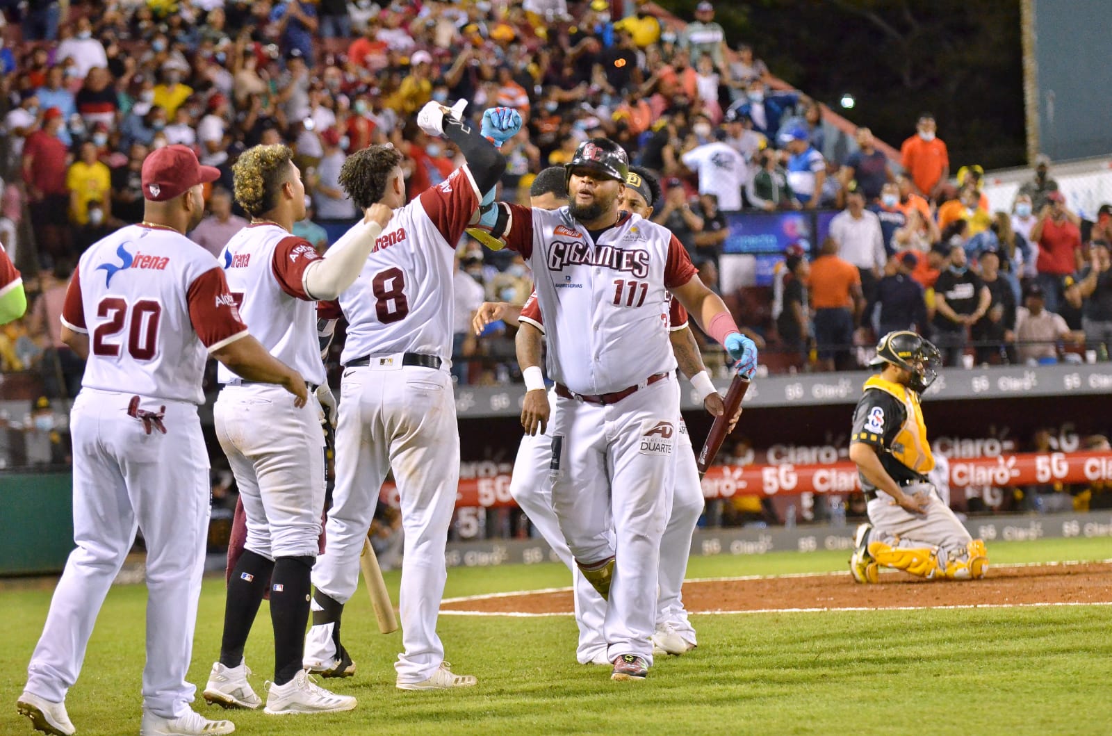 Gigantes del Cibao al Round Robin del béisbol dominicano - Prensa Latina