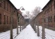 27 de enero Día Internacional de Conmemoración de las Víctimas del Holocausto