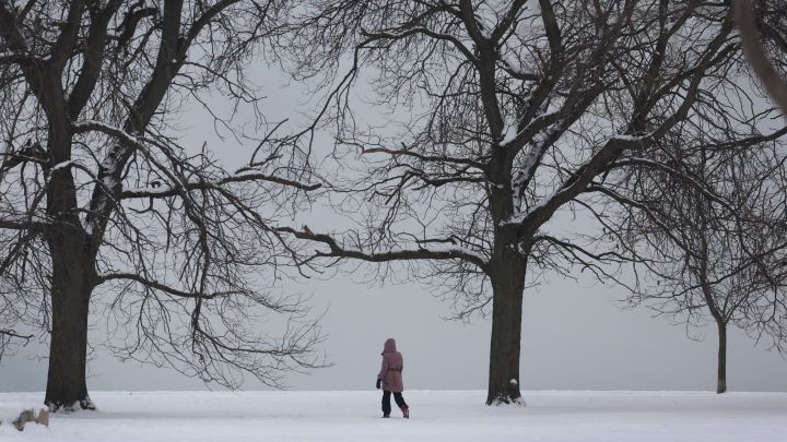 Alerta de tormenta de nieve y ventiscas en USA: cuándo será y estados afectados