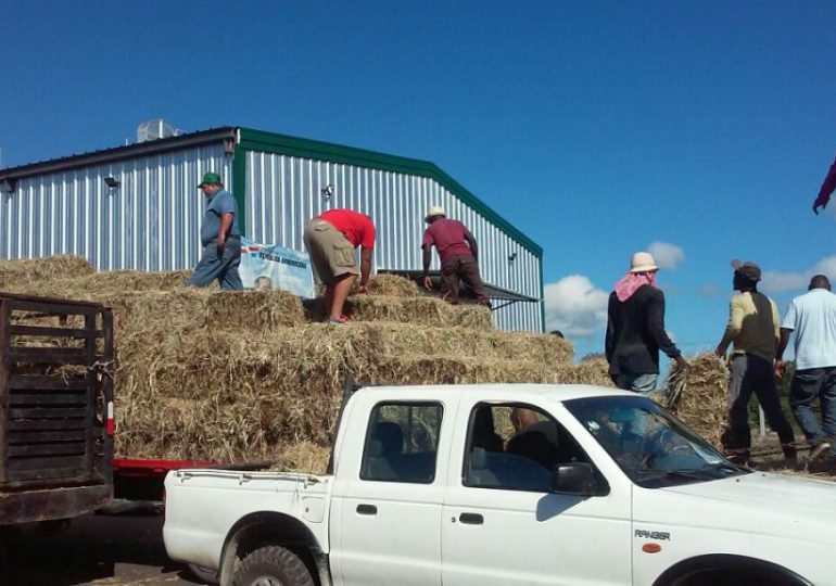 Conaleche entrega pacas de forraje a ganaderos afectados por sequía