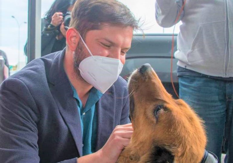 “Brownie”, el perro del presidente de Chile que causa furor en las redes sociales