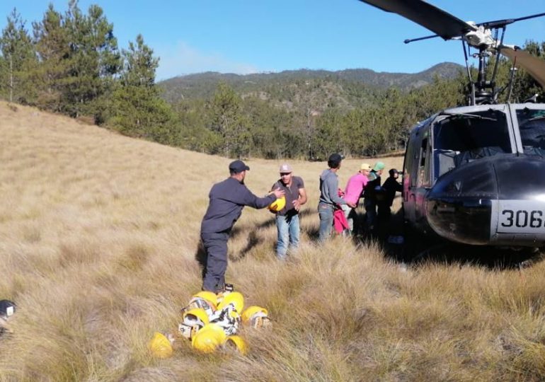 Medio Ambiente controla incendio de los parques nacionales José del Carmen Ramírez y José Armando Bermúdez