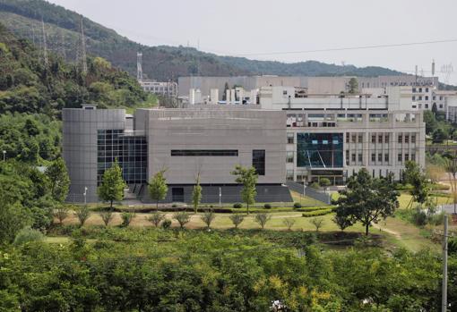 Un laboratorio de Wuhan creó ocho virus, dos muy infecciosos para el ser humano
