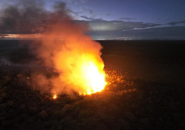 Autoridades en Verón articulan plan de respuesta de incendio forestal en Hoyo Claro