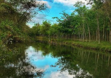 Gobierno emite decreto 29-22 que crea Refugio de Vida Silvestre Humedales de Laguna Prieta