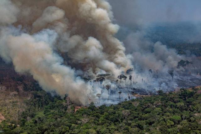 Capital colombiana en "alerta ambiental" por incendio en Amazonía del tamaño de París